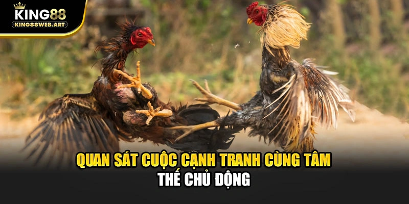 Quan sát cuộc cạnh tranh cùng tâm thế chủ động